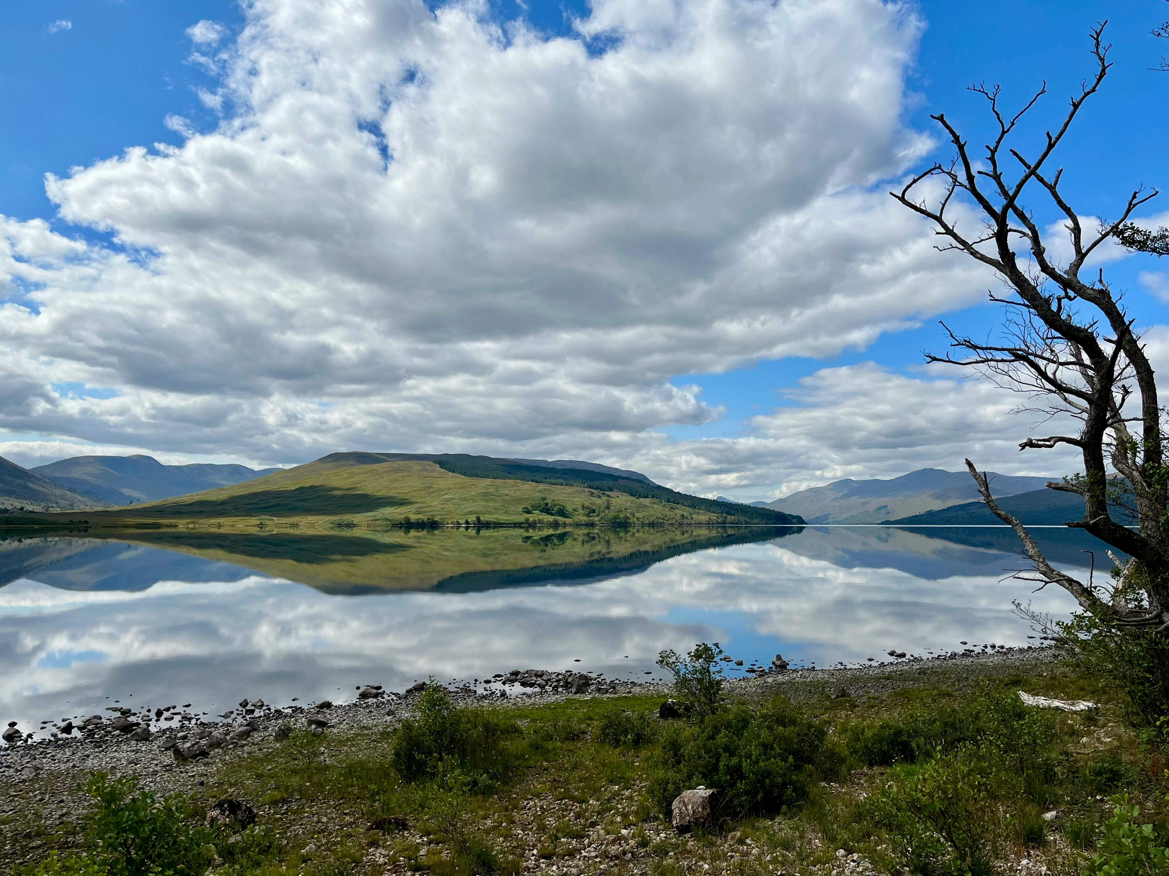 Opening Branches vs Subsidiaries: Regulatory Pros and Cons